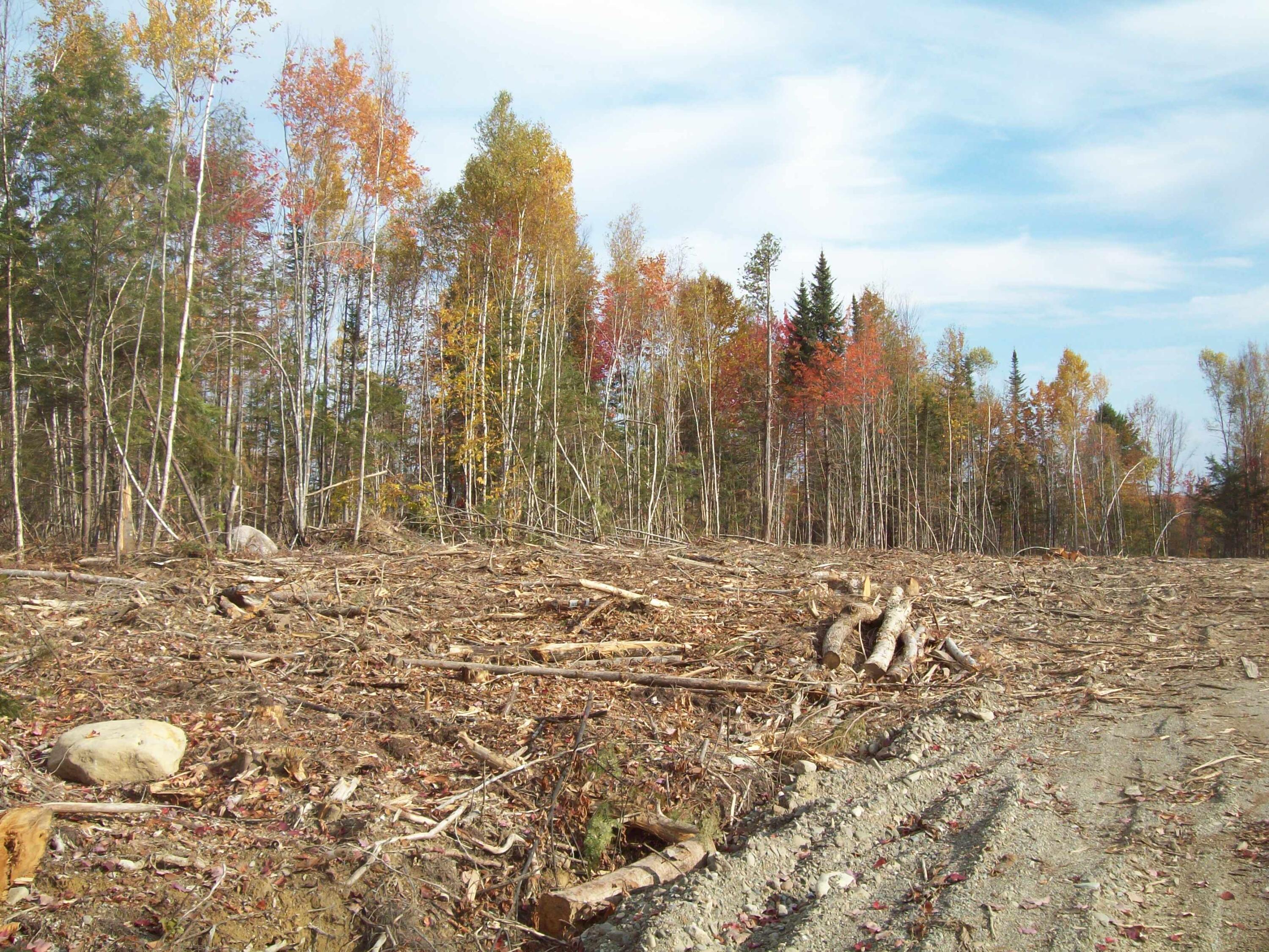 Tbd Tbd Road Carroll Plt, ME 04487 - Photo 9 of 12 100_2378