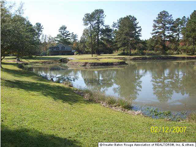 28225 South Satsuma Road Livingston, LA 70754 - Photo 13 of 18 Gallery Image 13