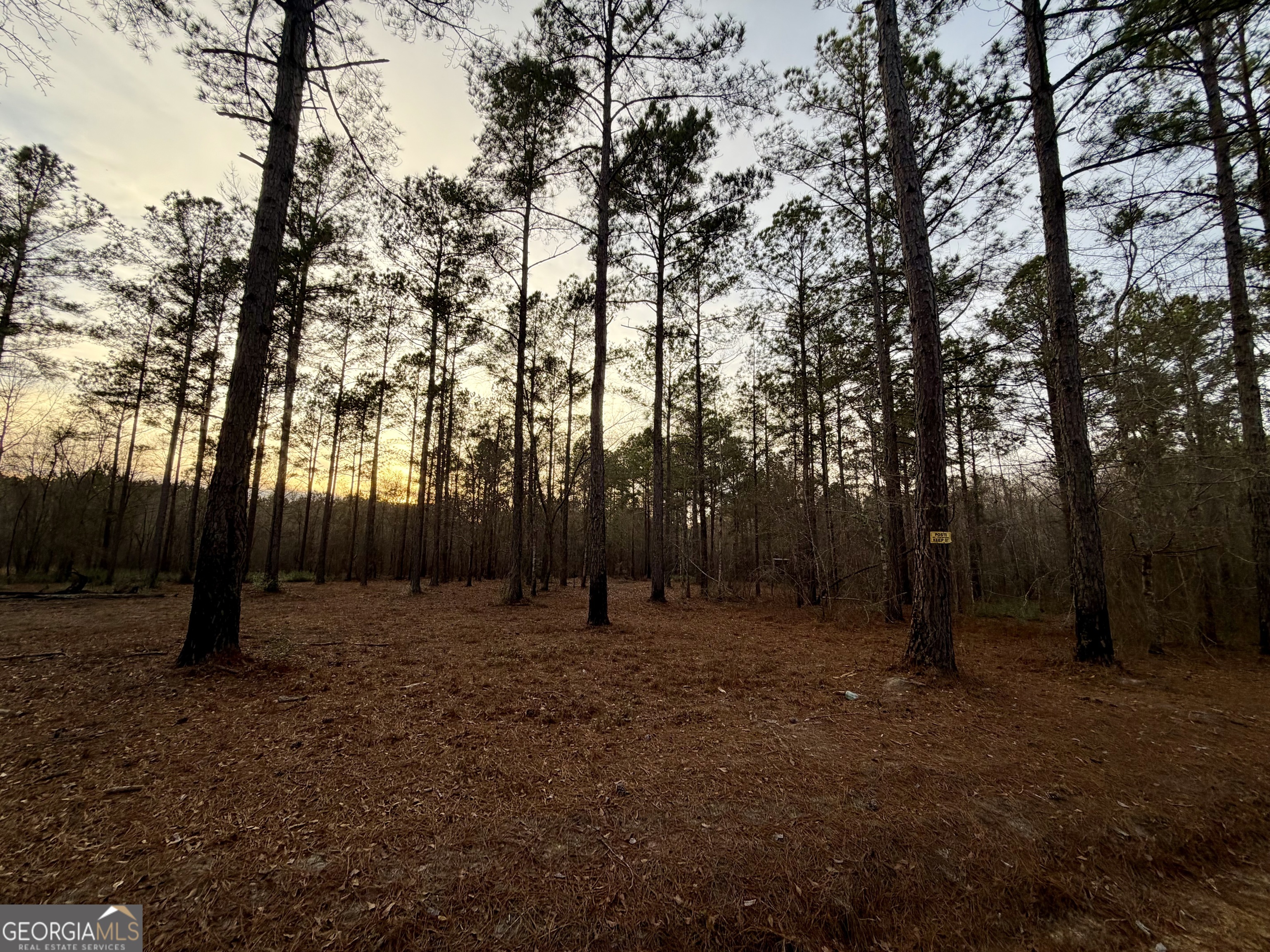 2601 New Evergreen Church Road Cadwell, GA 31009 - Photo 28 of 30 a backyard of a house with lots of green space