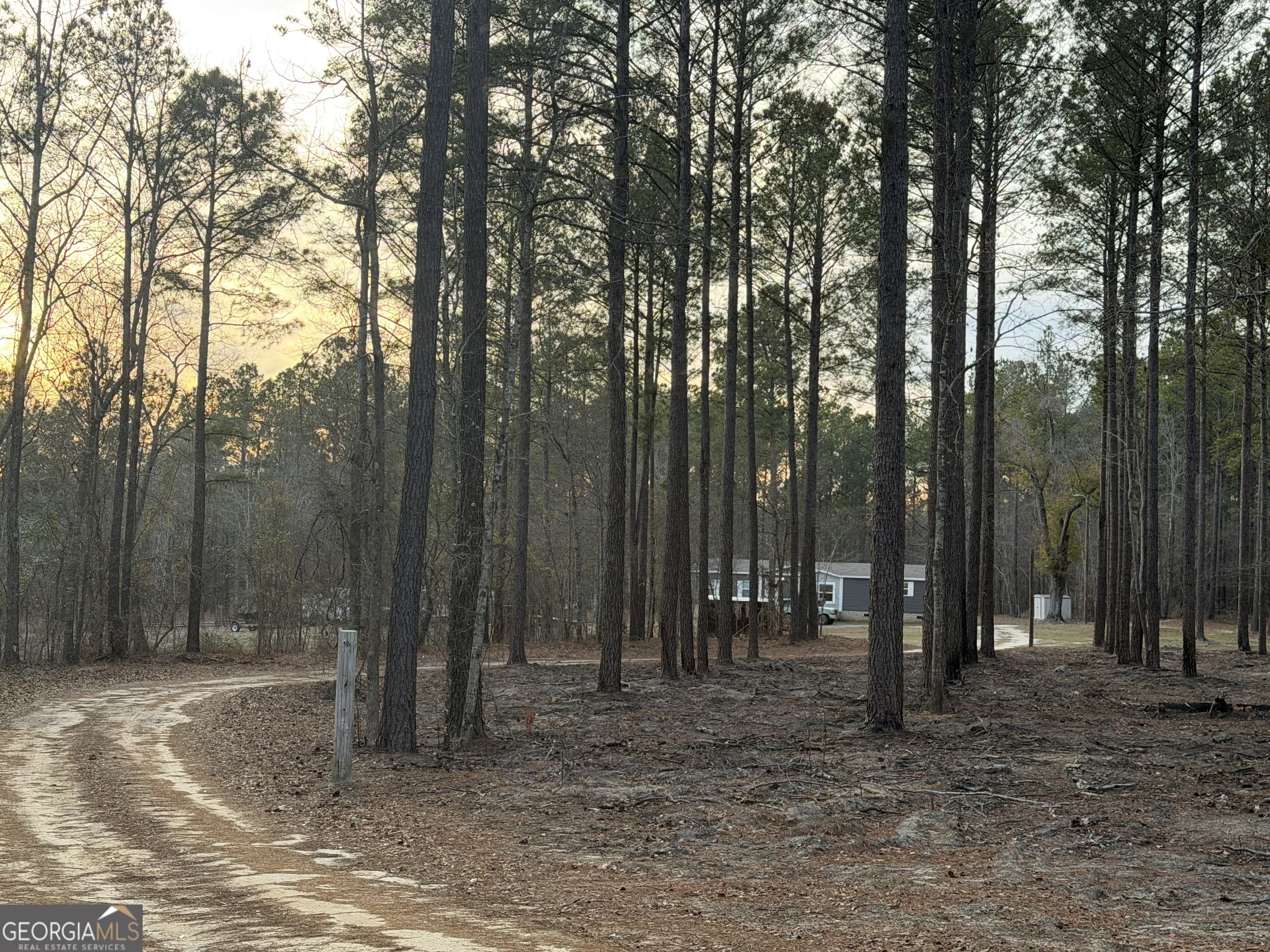 2601 New Evergreen Church Road Cadwell, GA 31009 - Photo 30 of 30 a backyard of a house with lots of trees