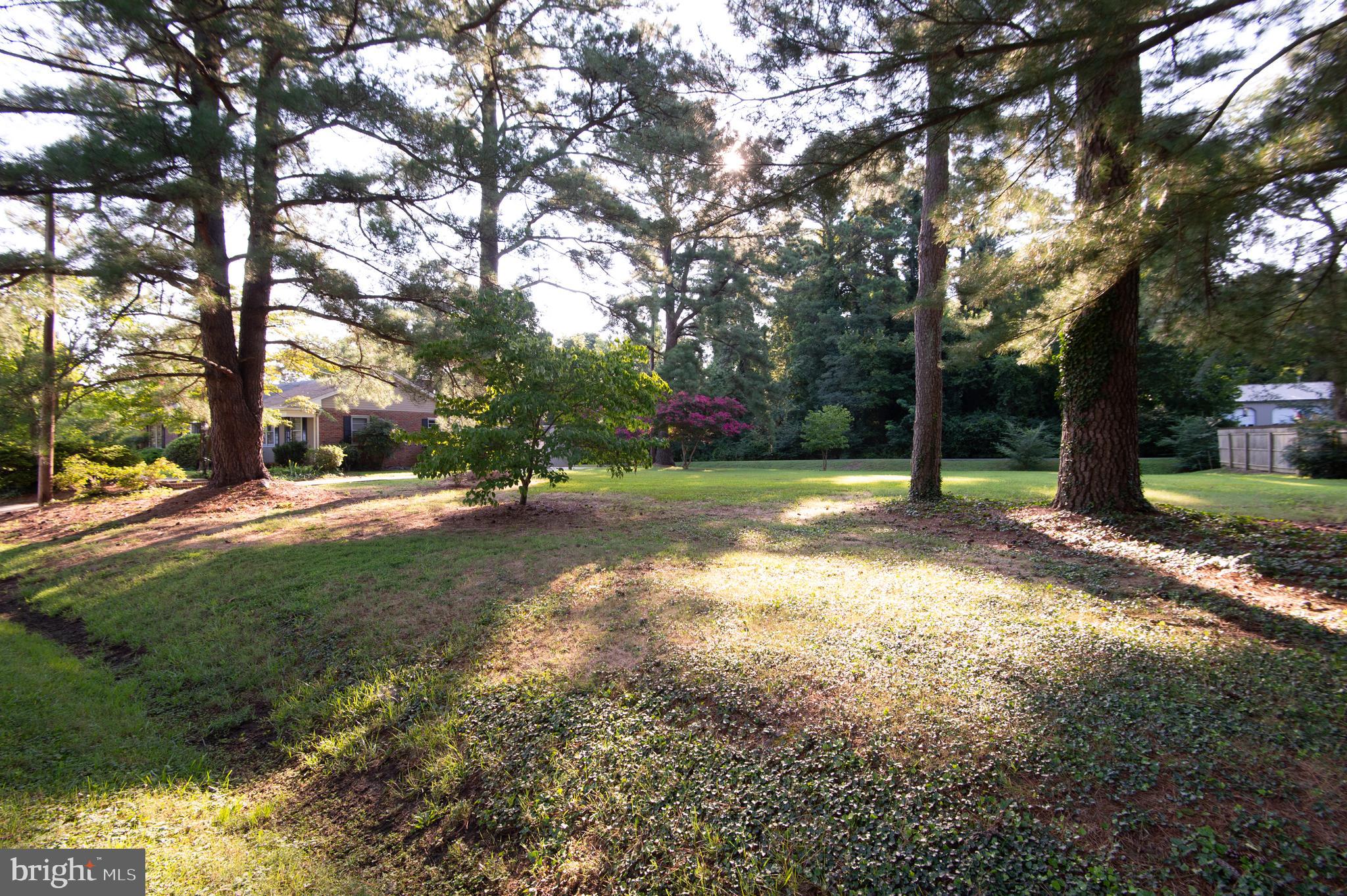 2 Algonquin Road Cambridge, MD 21613 - Photo 4 of 24 Beautiful setting