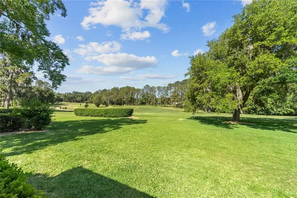 a view of field with large trees
