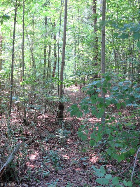 1241 Nance Road King, NC 27021 - Photo 18 of 27
