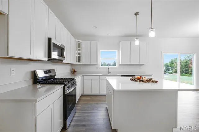 $452,885 | 18406 Boone Rdg Mnr Drive, Truesdale, MO 63380