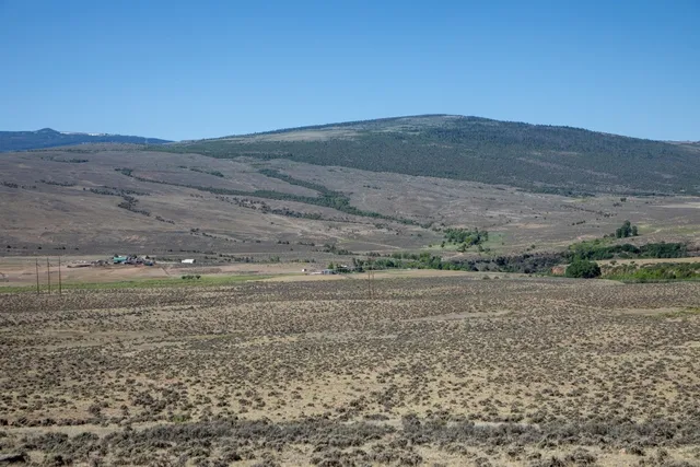 a view of a field with an ocean