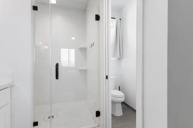 a bathroom with a shower and a toilet