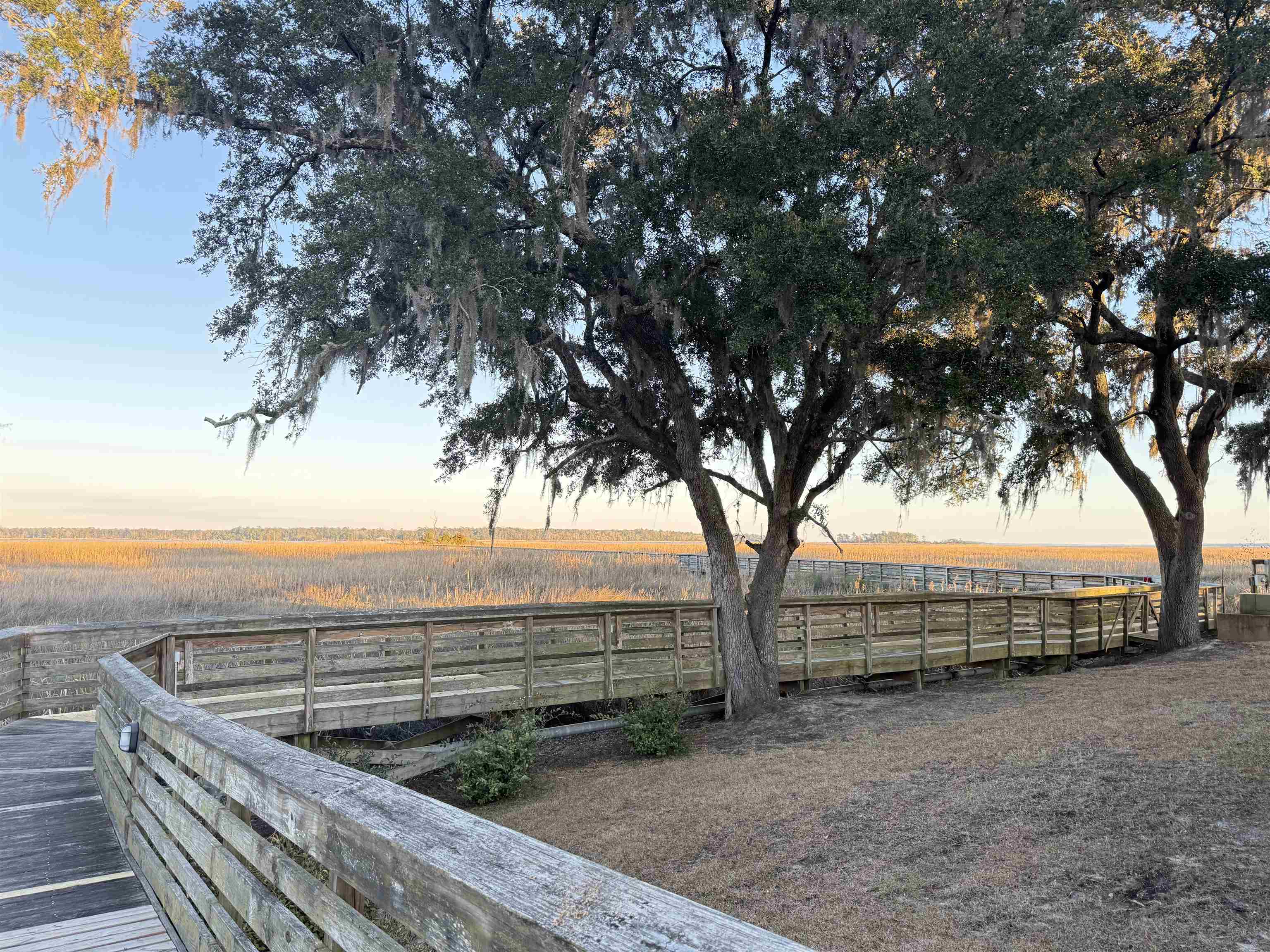 Lot 58 Lagrange Road Georgetown, SC 29440 - Photo 7 of 13