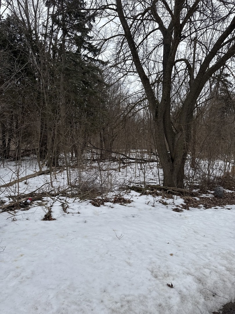 1601 Faithorn Avenue Crete, IL 60417 - Photo 3 of 3