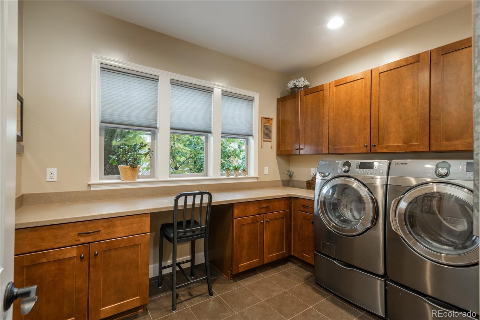 10640 Star Thistle Court Highlands Ranch, CO 80126 - Photo 12 of 39