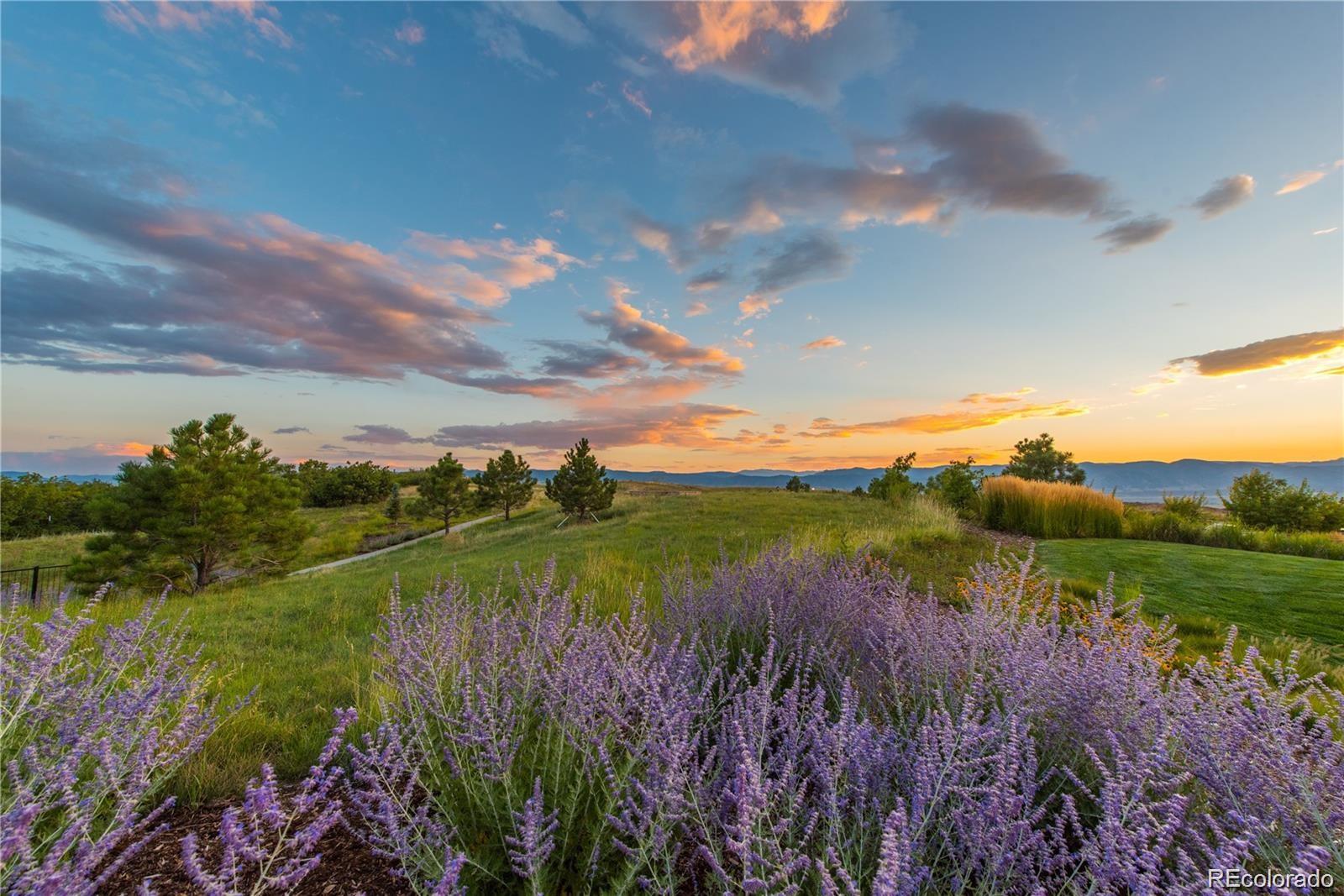 10640 Star Thistle Court Highlands Ranch, CO 80126 - Photo 39 of 39