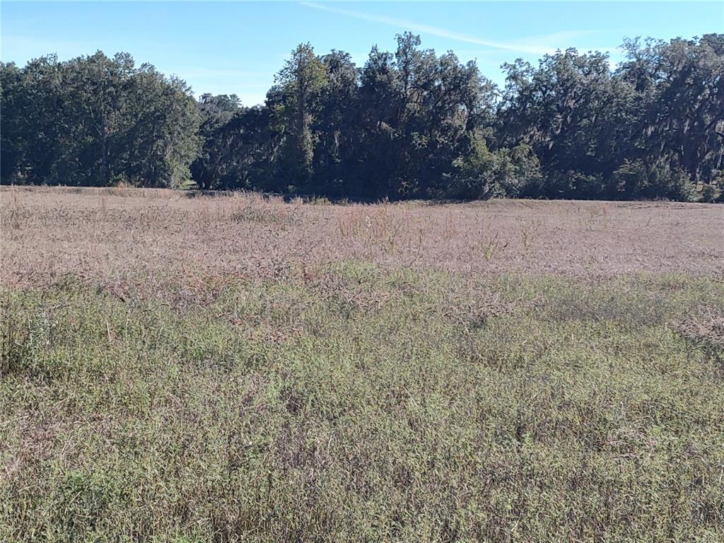 Northwest 54th Loop Ocala, FL 34482 - Photo 6 of 12