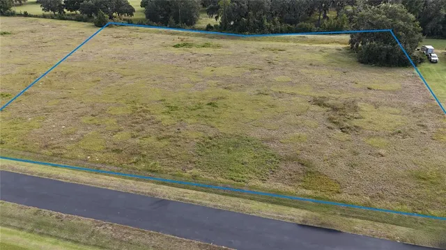 a view of a swimming pool with a yard and plants
