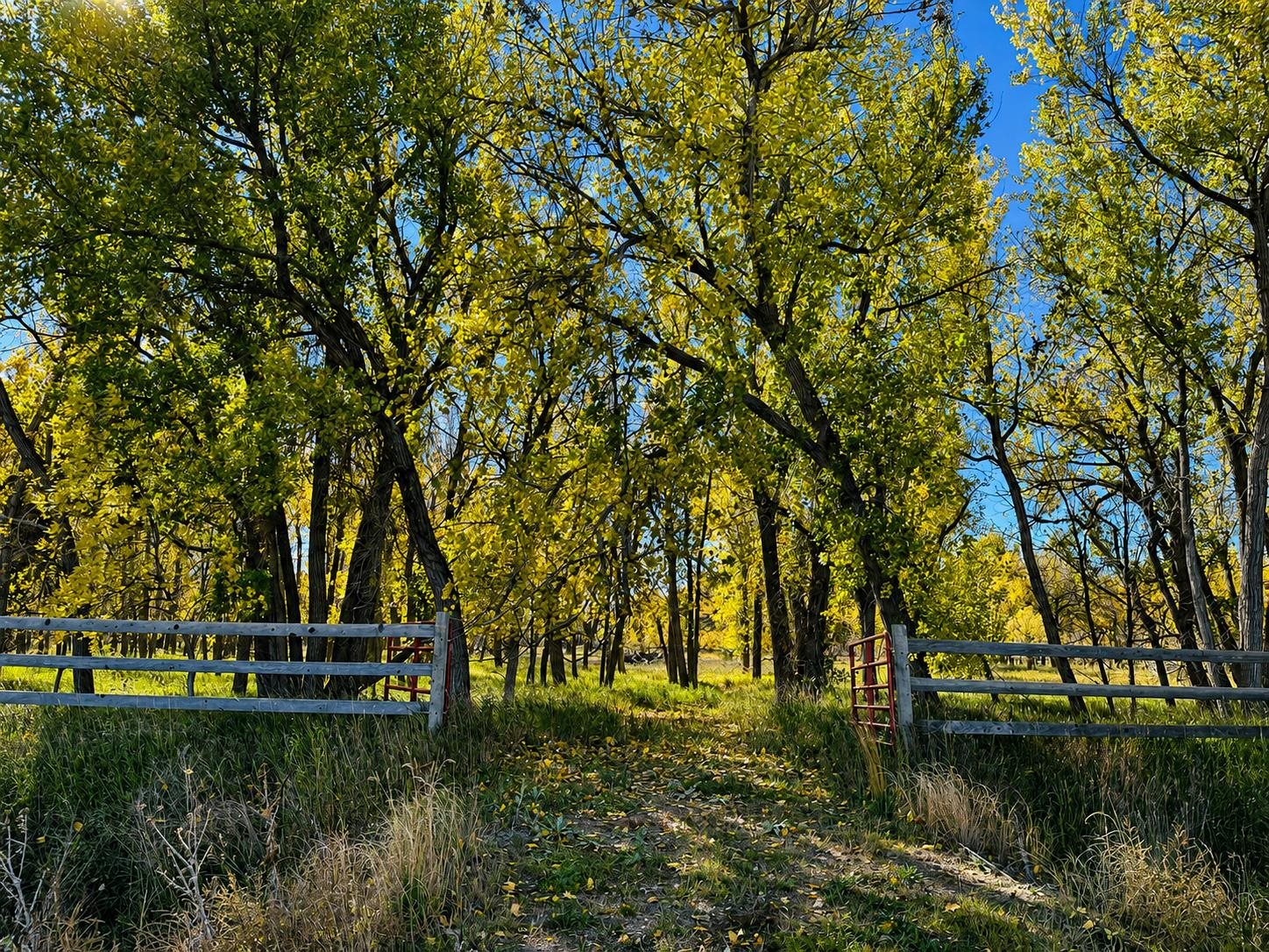 704 90th Road Fort Laramie, WY 82212 - Photo 43 of 45