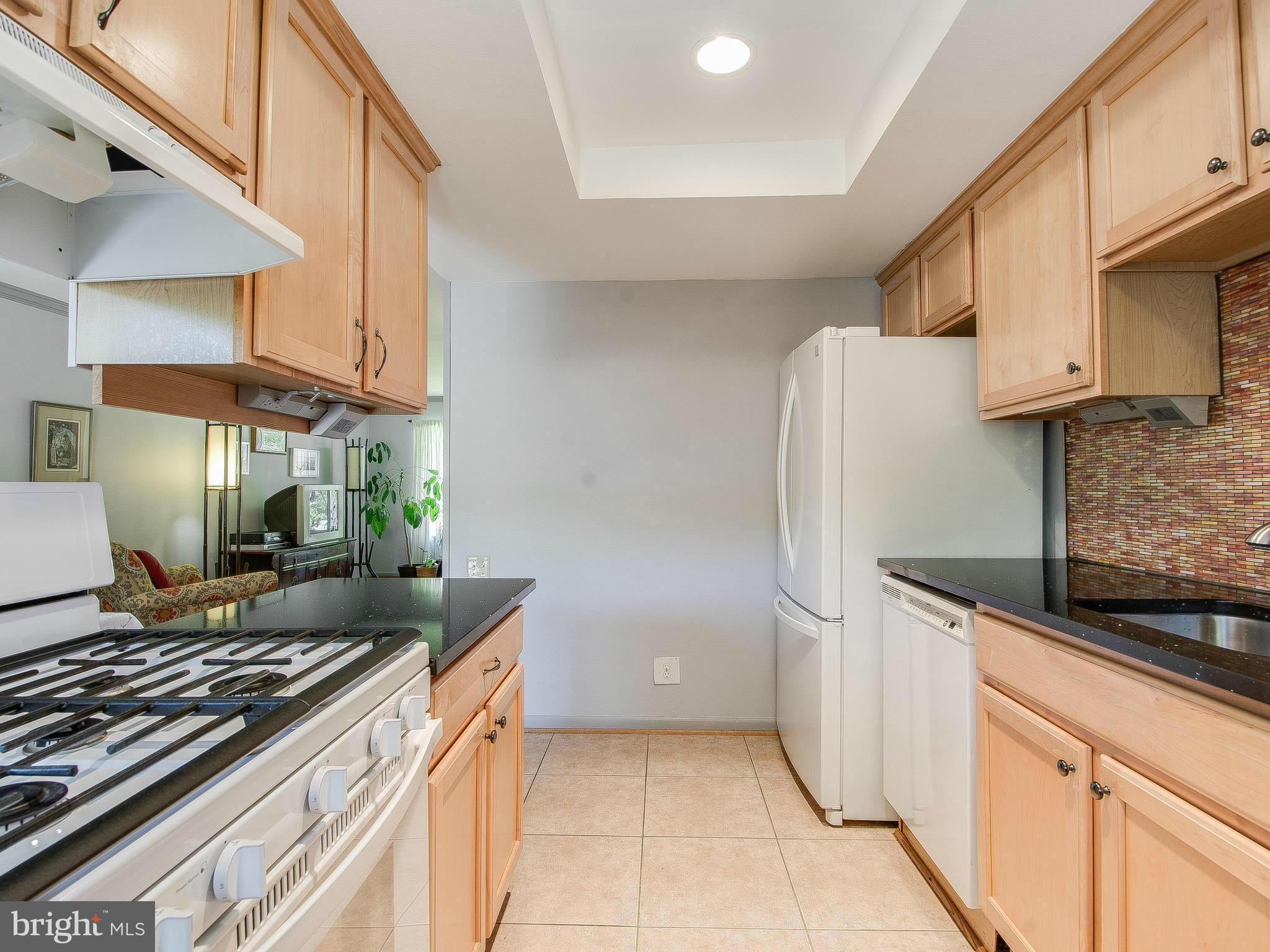 2815 Homecrest Circle Silver Spring, MD 20906 - Photo 8 of 20 Kitchen