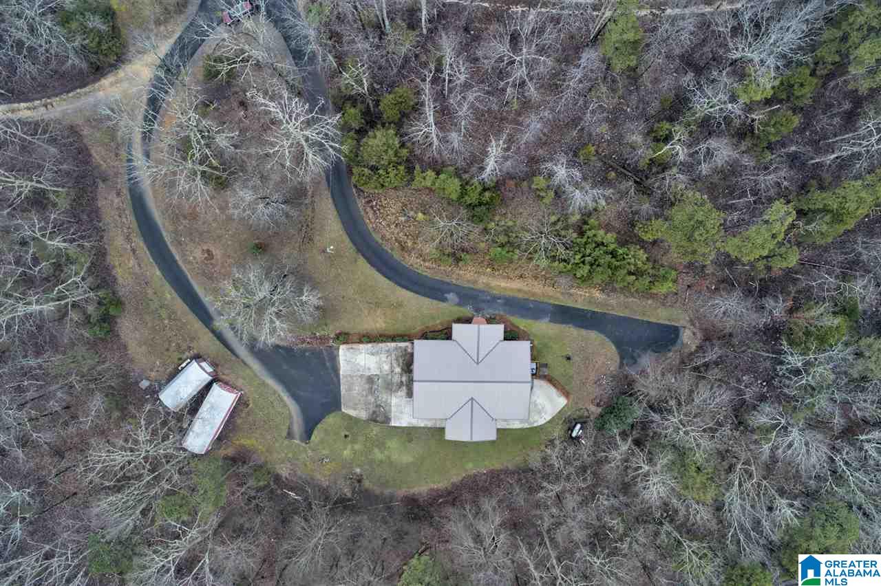 896 Cedar Cliff Road Springville, AL 35146 - Photo 12 of 45