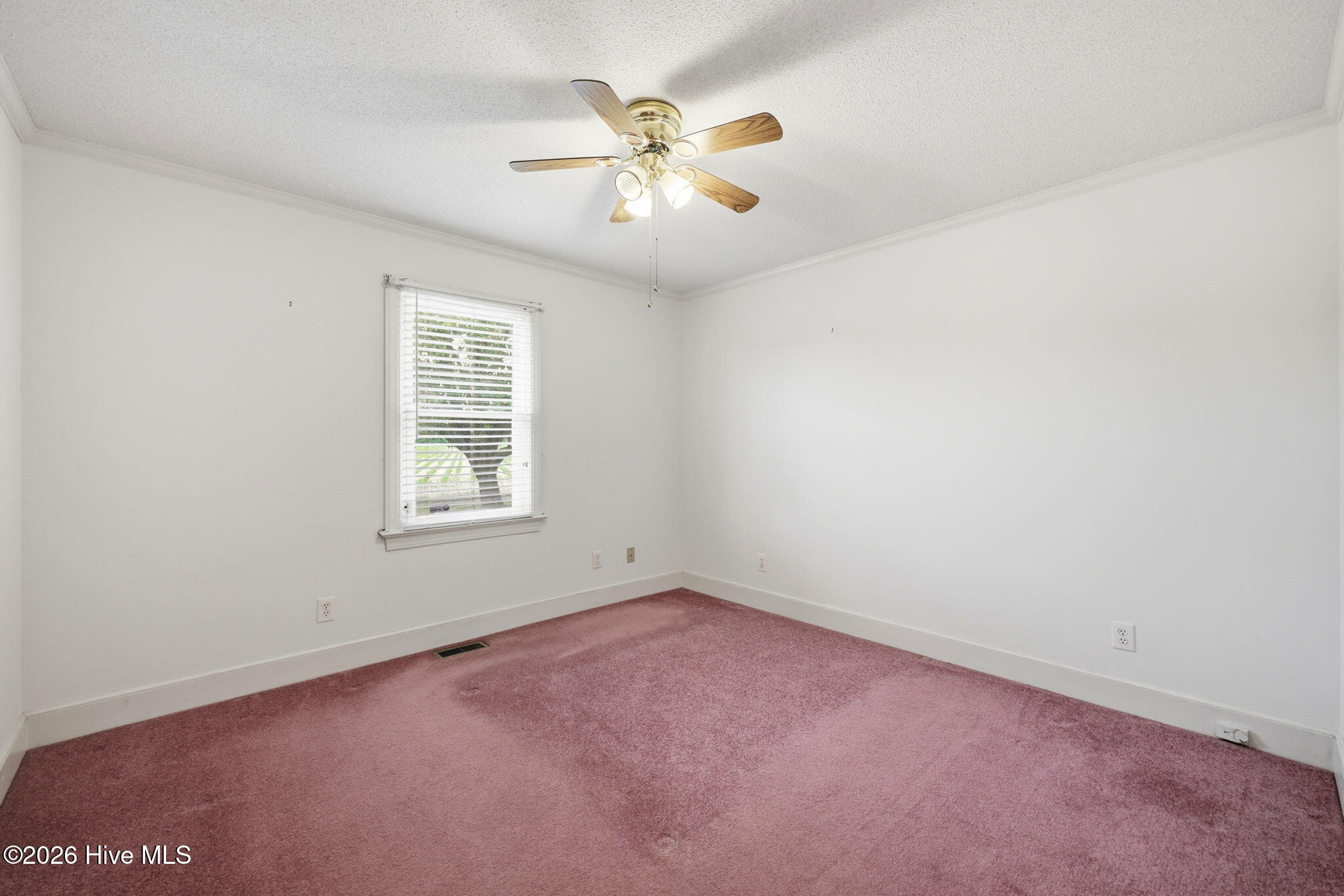 132 Jesse T Bryan Road Kinston, NC 28504 - Photo 30 of 50 29