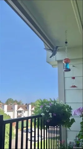 a view of ocean with green space