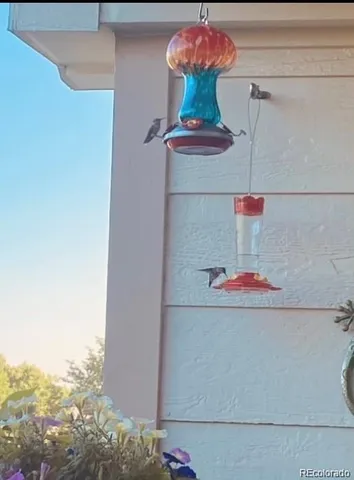 a hallway with wooden floor fireplace and windows