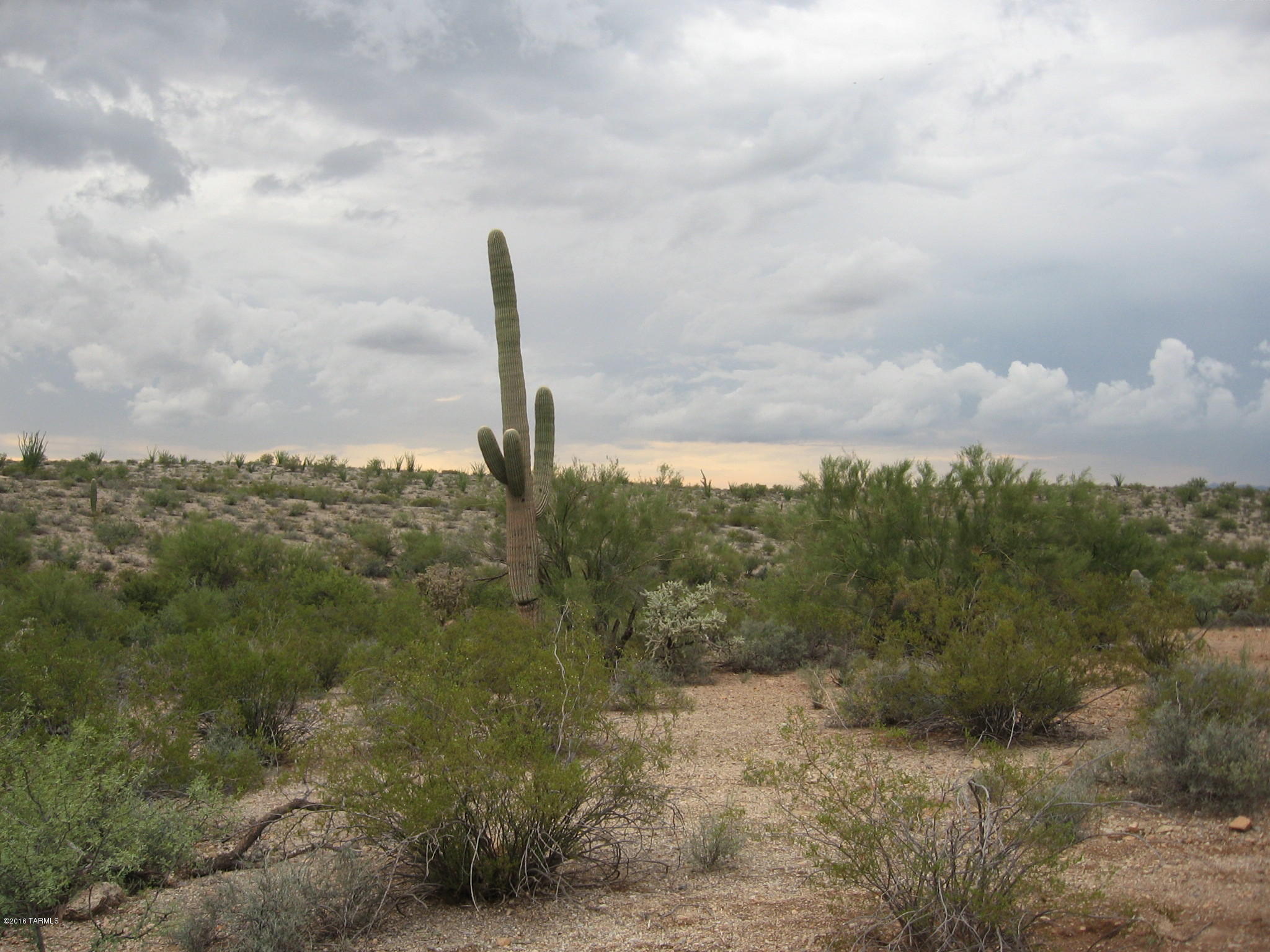 Jacob Road Tucson, AZ 85745 - Photo 3 of 3