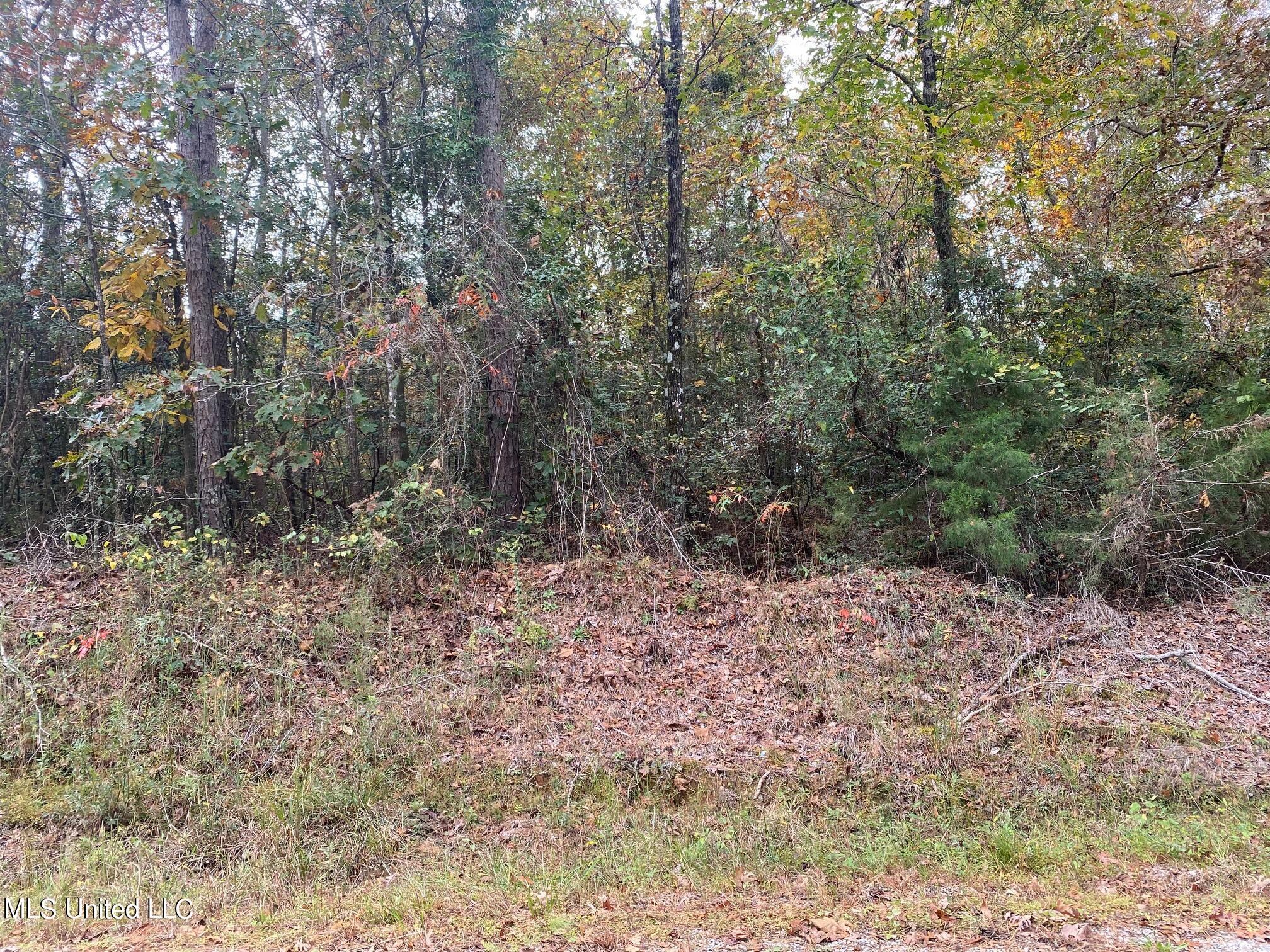 Approx 12 acres