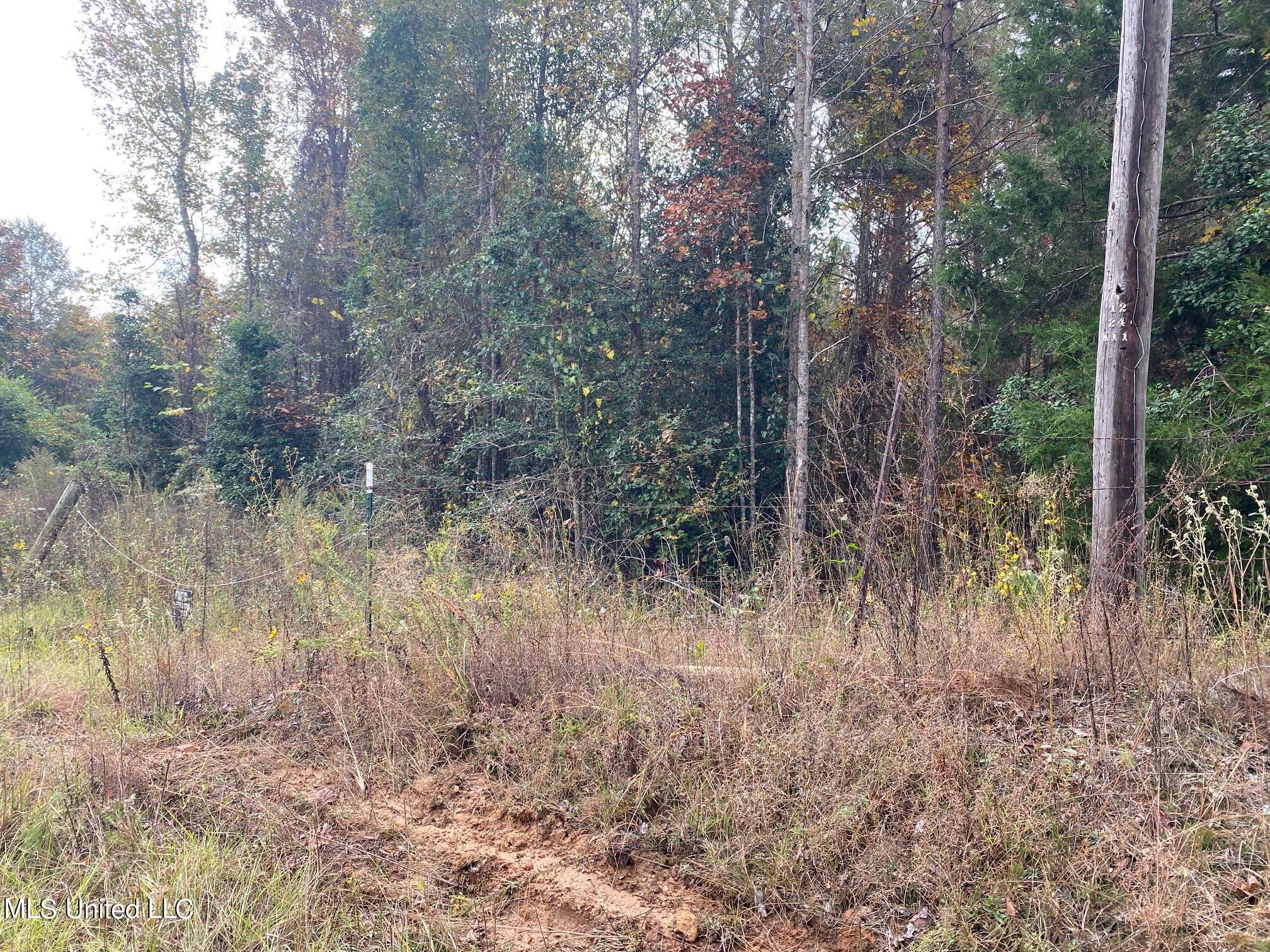 Church Road Lake, MS 39092 - Photo 2 of 3 zion church rd