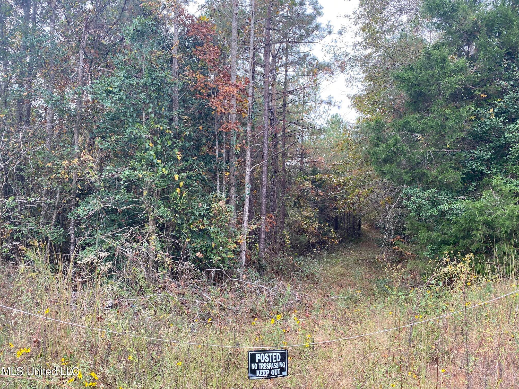 Church Road Lake, MS 39092 - Photo 3 of 3 zion church rd