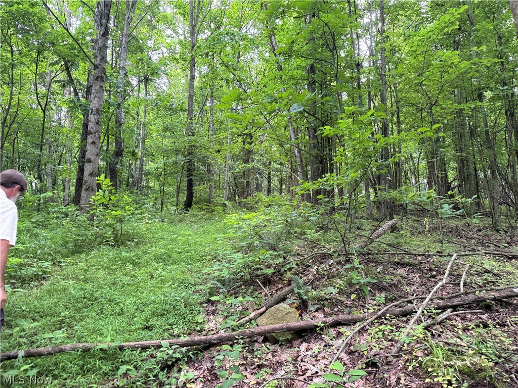 Marlott Run Road Kimbolton, OH 43749 - Photo 34 of 49