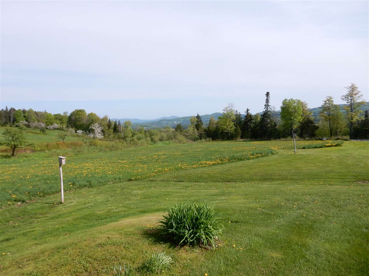1701 Rocking Rock Road Greensboro, VT 05841 - Photo 22 of 28 Gallery Image 22