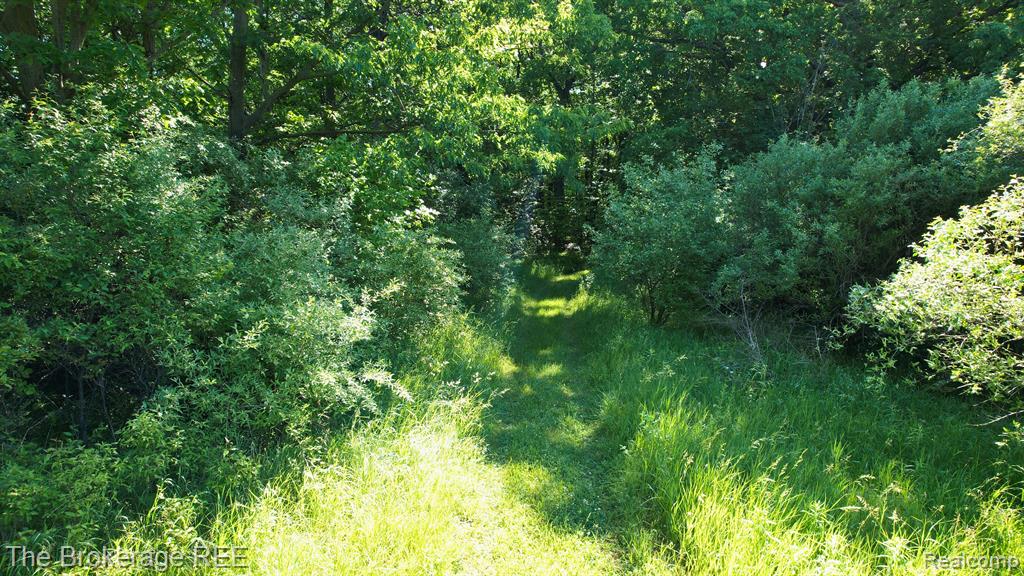 4077 Atlas Road Davison, MI 48423 - Photo 72 of 74