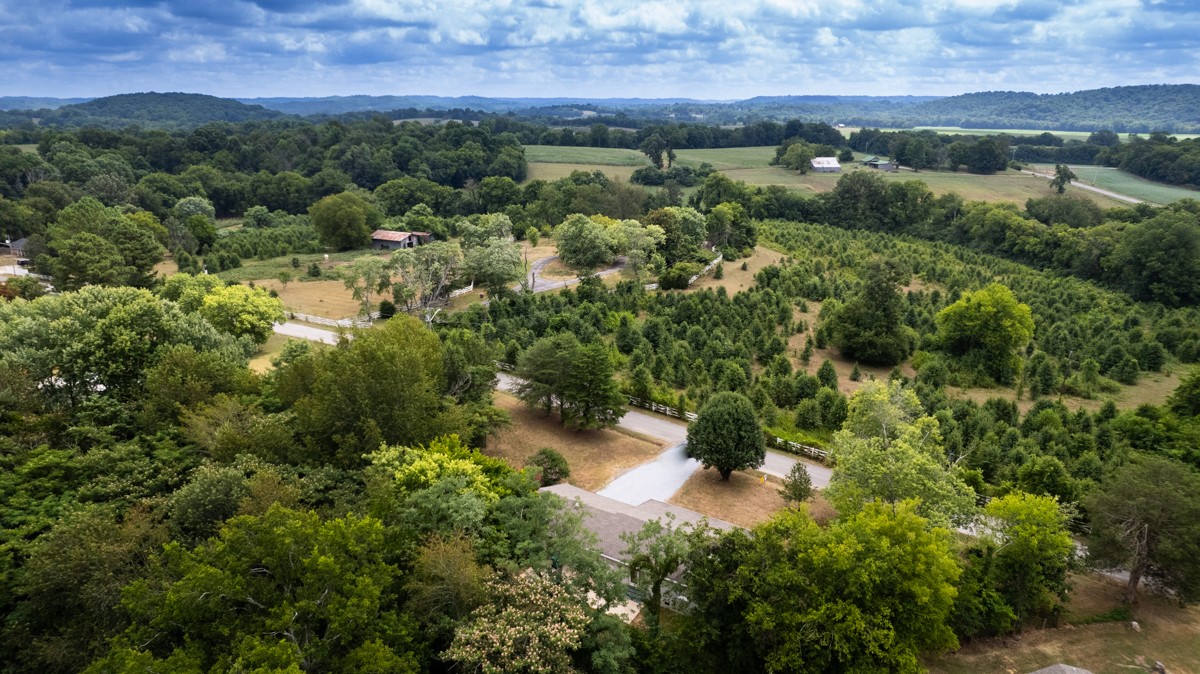 276 Long Road Ardmore, TN 38449 - Photo 12 of 34