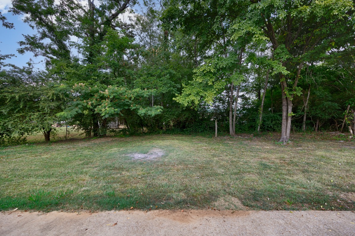 276 Long Road Ardmore, TN 38449 - Photo 9 of 34