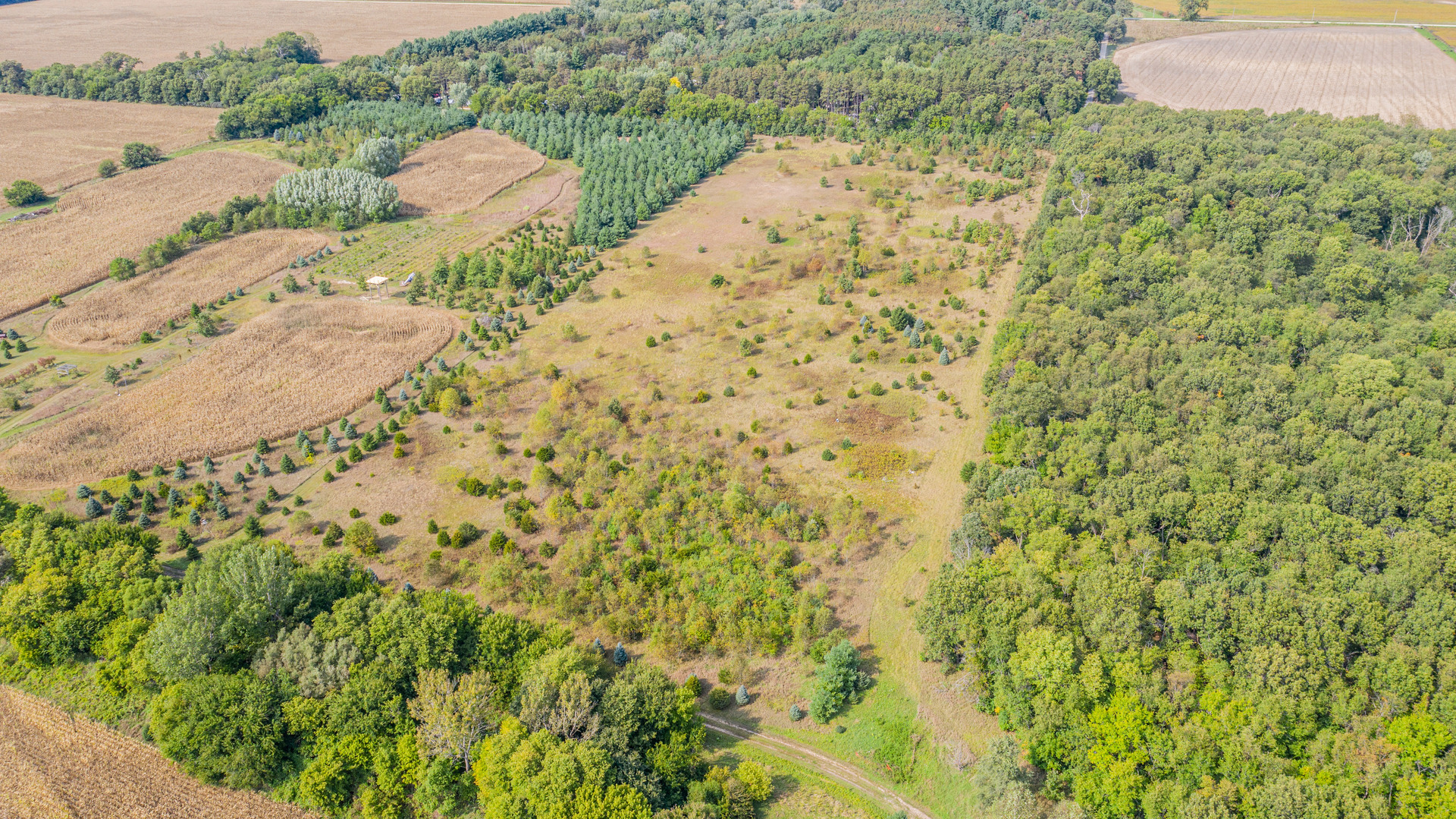 547 Morgan Road Amboy, IL 61310 - Photo 8 of 9 Gallery Image 8