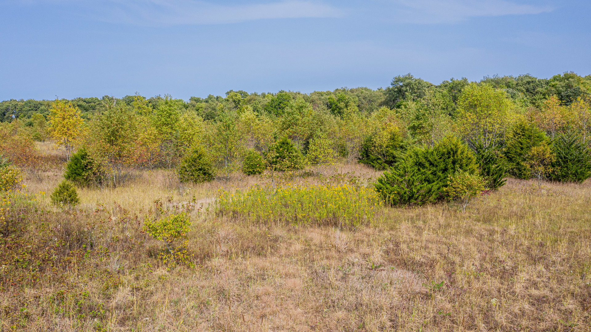 547 Morgan Road Amboy, IL 61310 - Photo 9 of 9 Gallery Image 9