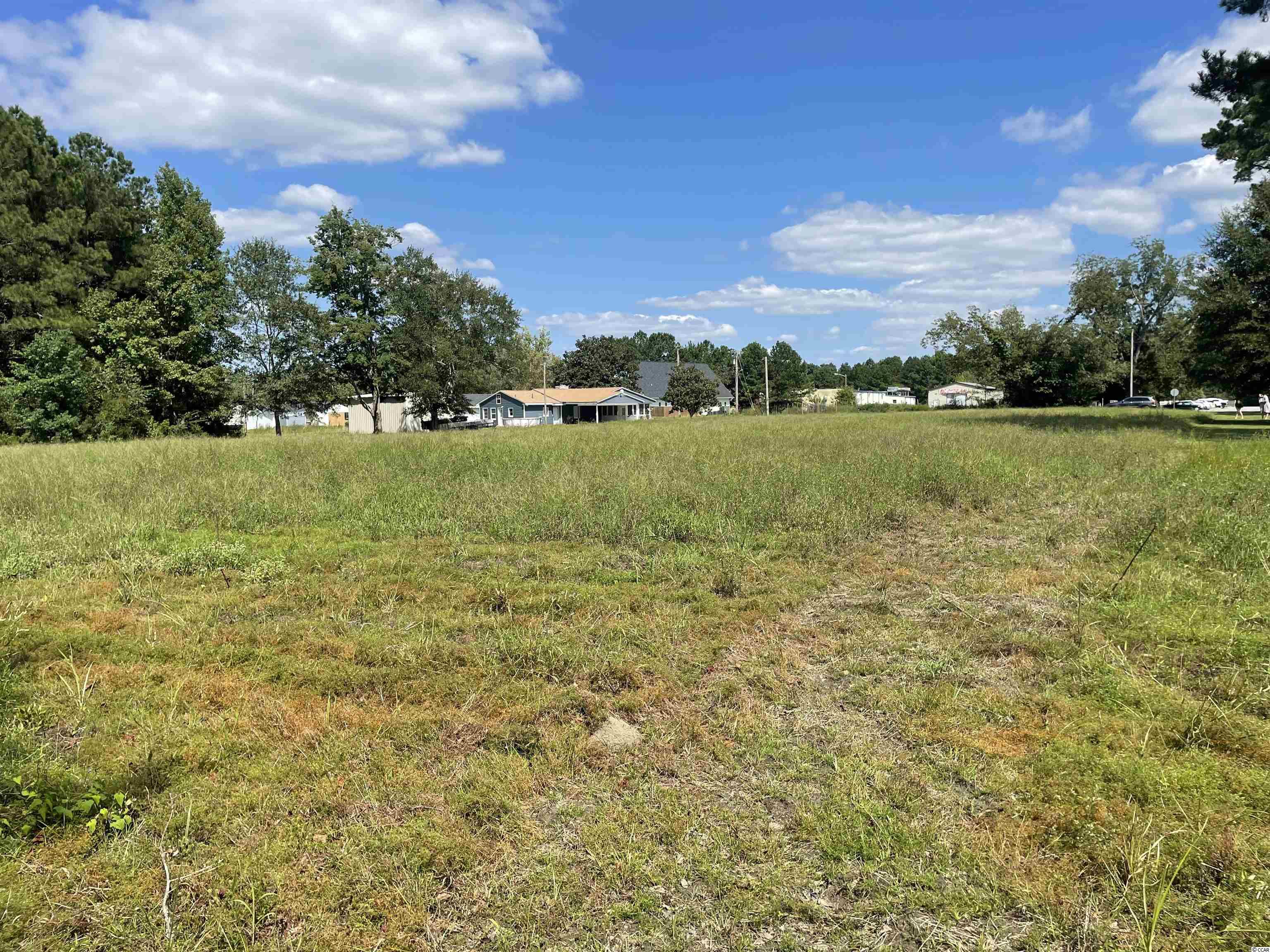 Tbd Suggs Street Loris, SC 29569 - Photo 13 of 13