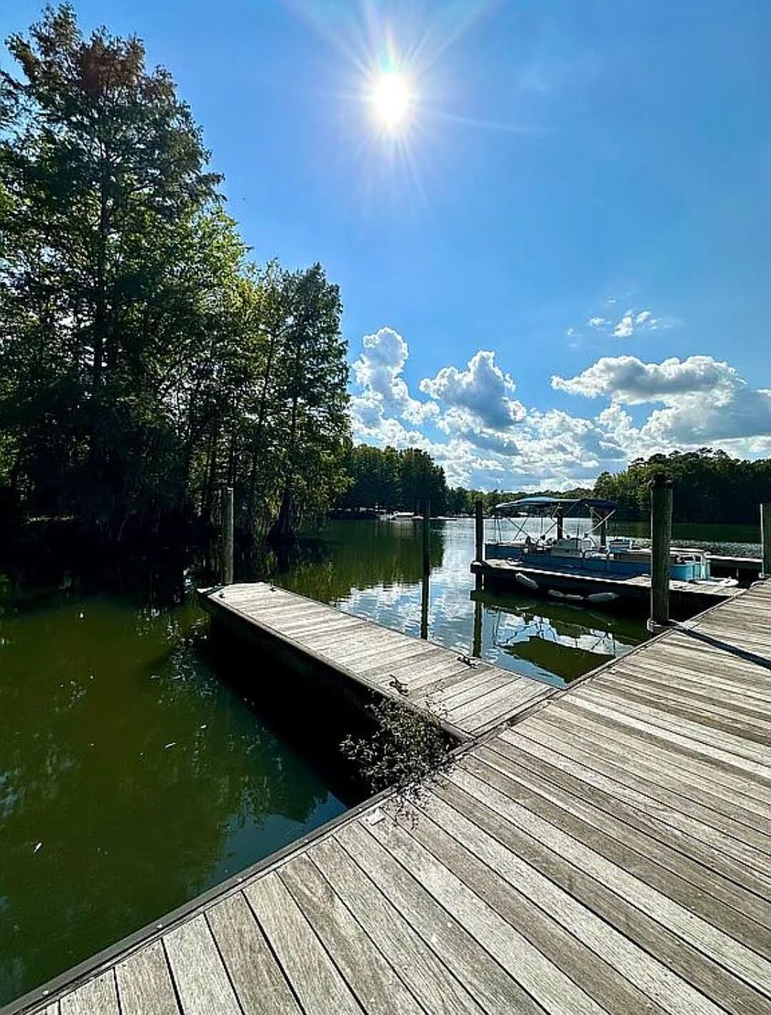 119 Ballard Lane Santee, SC 29142 - Photo 40 of 73 Dock right below your condo