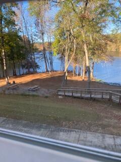 119 Ballard Lane Santee, SC 29142 - Photo 55 of 73 Lake view from Primary BR window