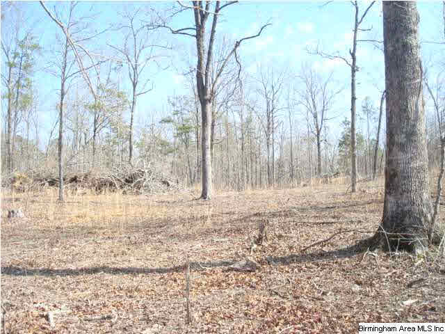 1180 Thompson Road, Unit 39 ACRES Ohatchee, AL 36271 - Photo 1 of 16