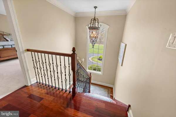 a view of yard along with trees