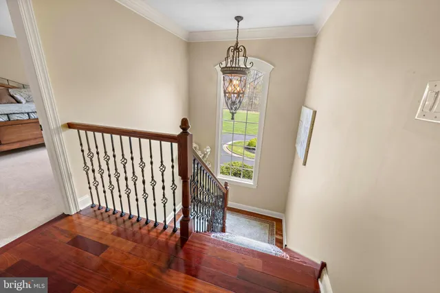 a view of yard along with trees