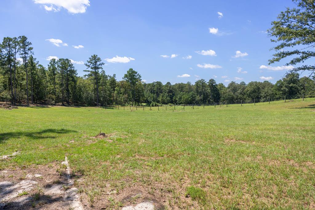 475 Rock Church Road Junction City, GA 31812 - Photo 71 of 83