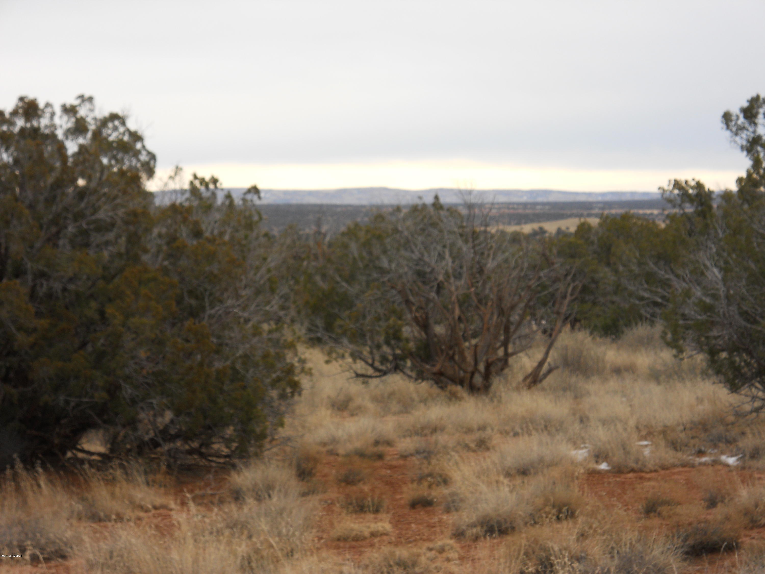 Sw Corner Sw Corner Concho, AZ 85924 - Photo 2 of 10