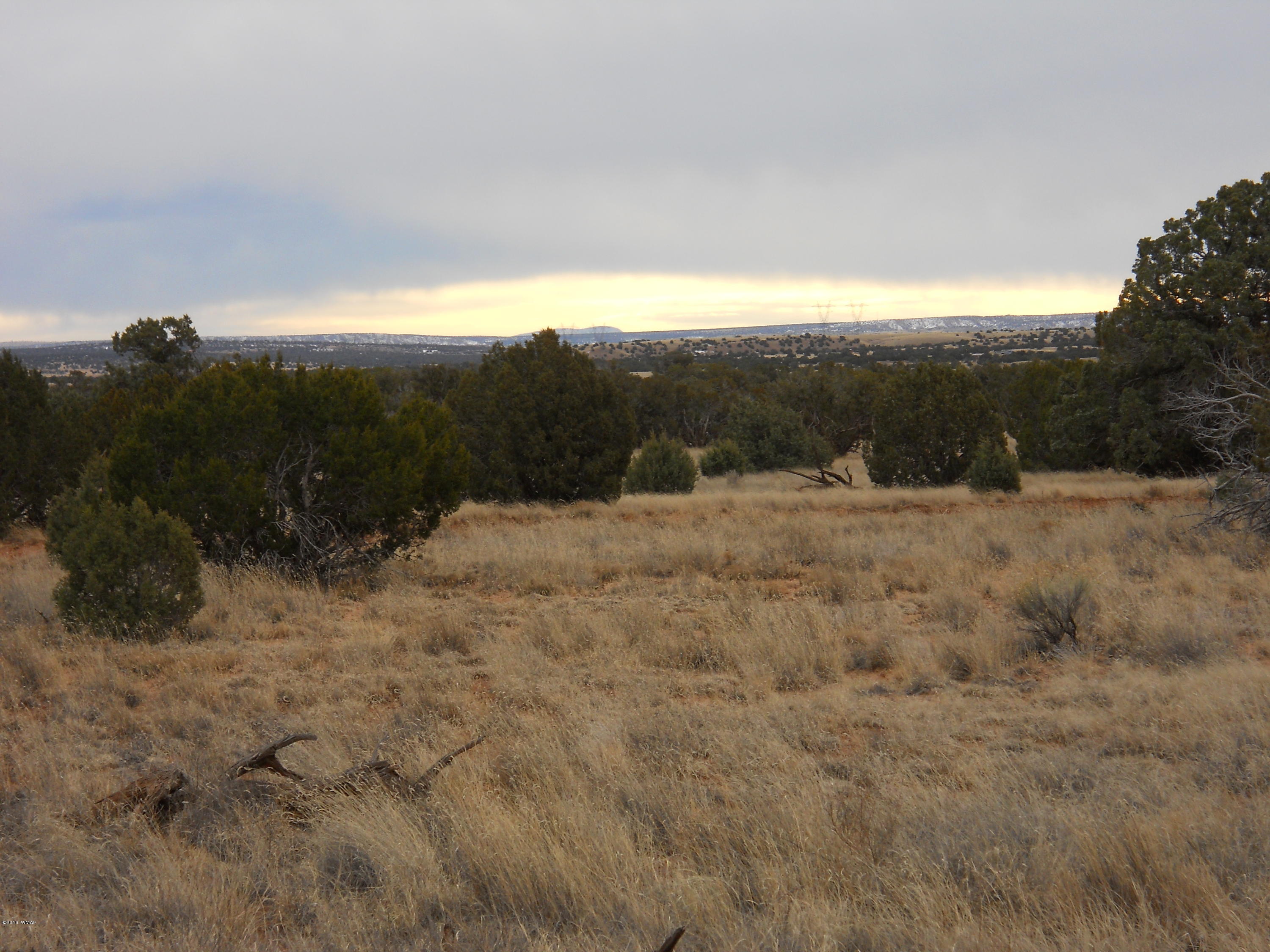 Sw Corner Sw Corner Concho, AZ 85924 - Photo 3 of 10