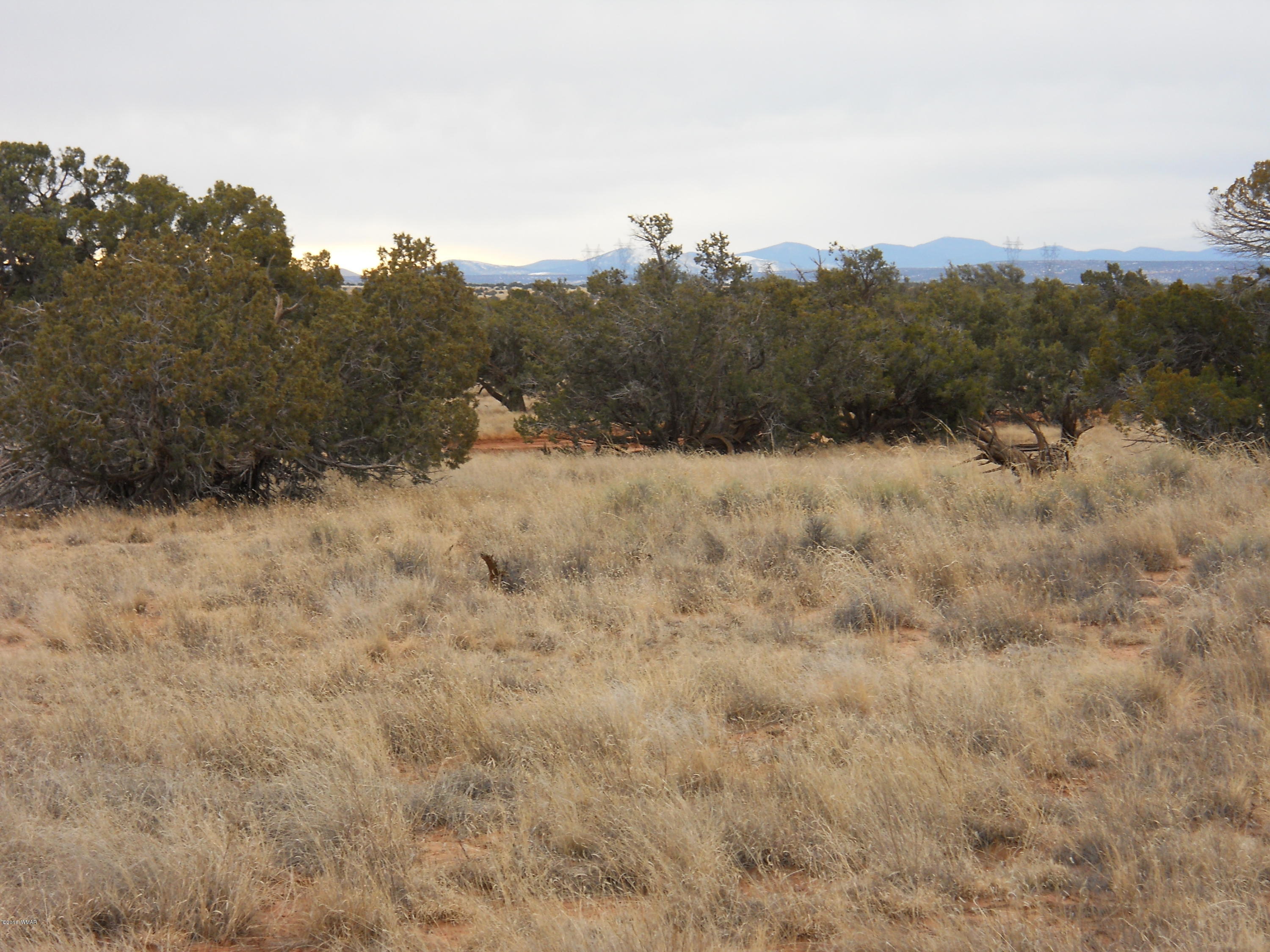 Sw Corner Sw Corner Concho, AZ 85924 - Photo 4 of 10