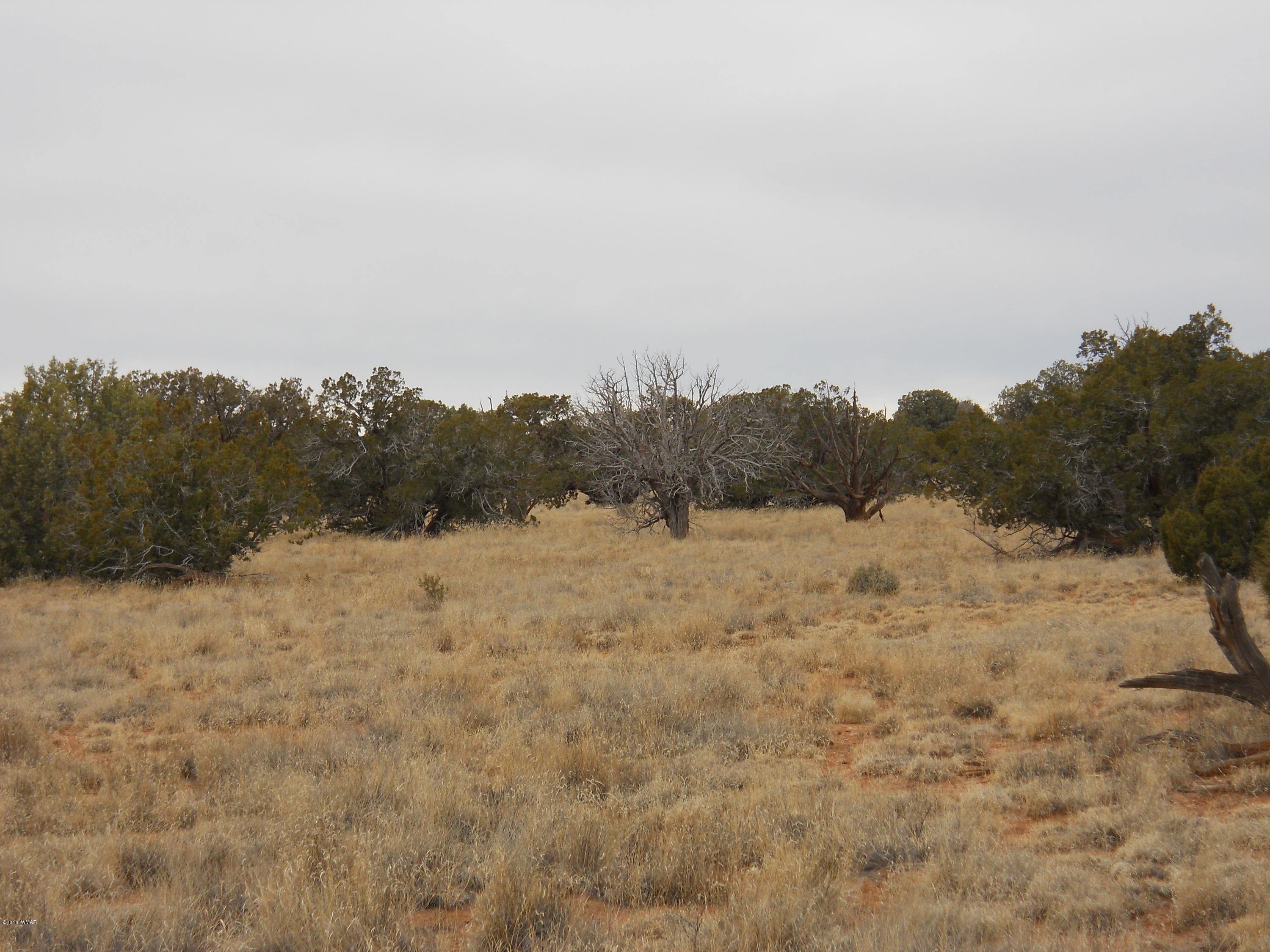 Sw Corner Sw Corner Concho, AZ 85924 - Photo 5 of 10