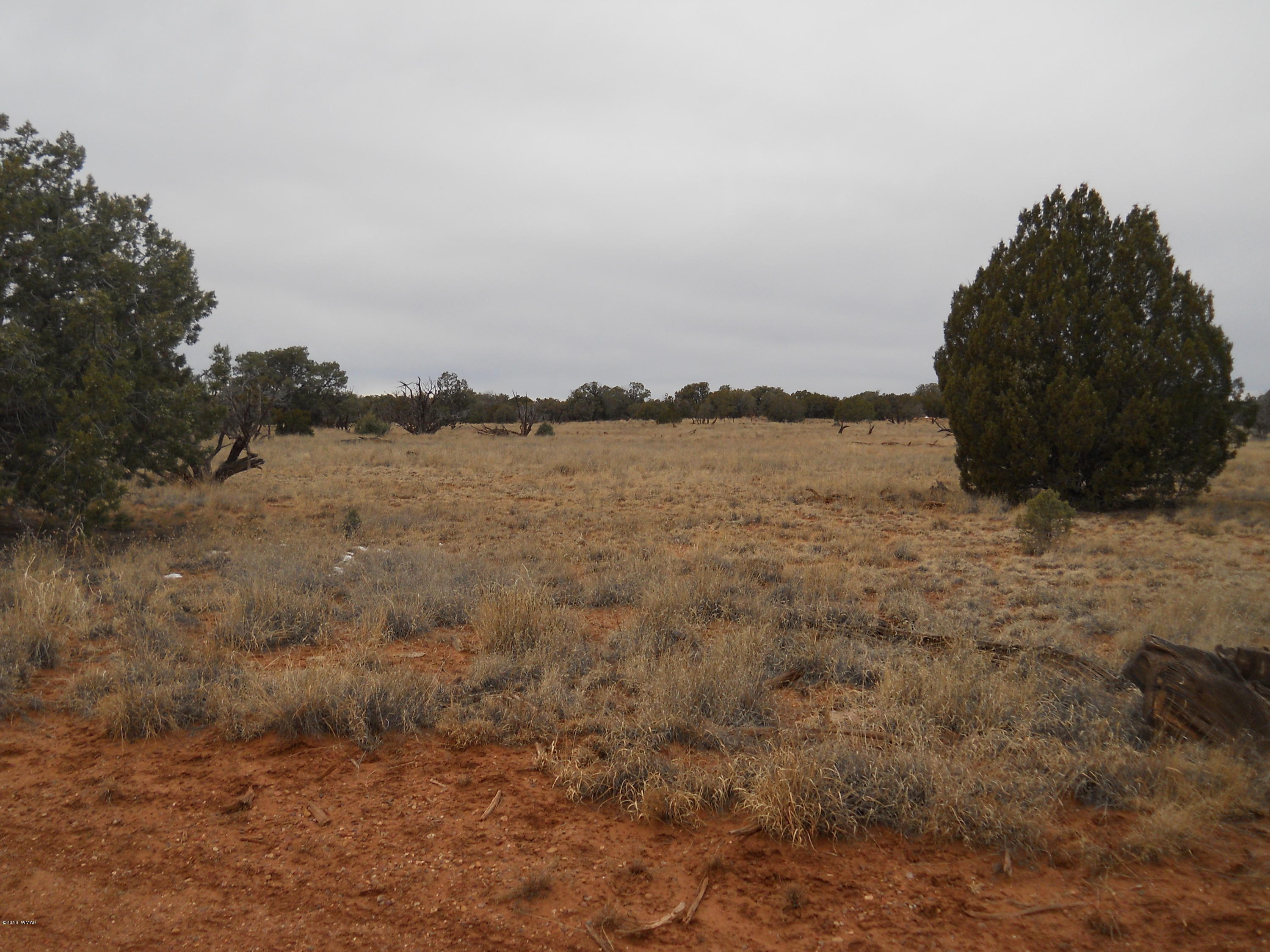 Sw Corner Sw Corner Concho, AZ 85924 - Photo 7 of 10