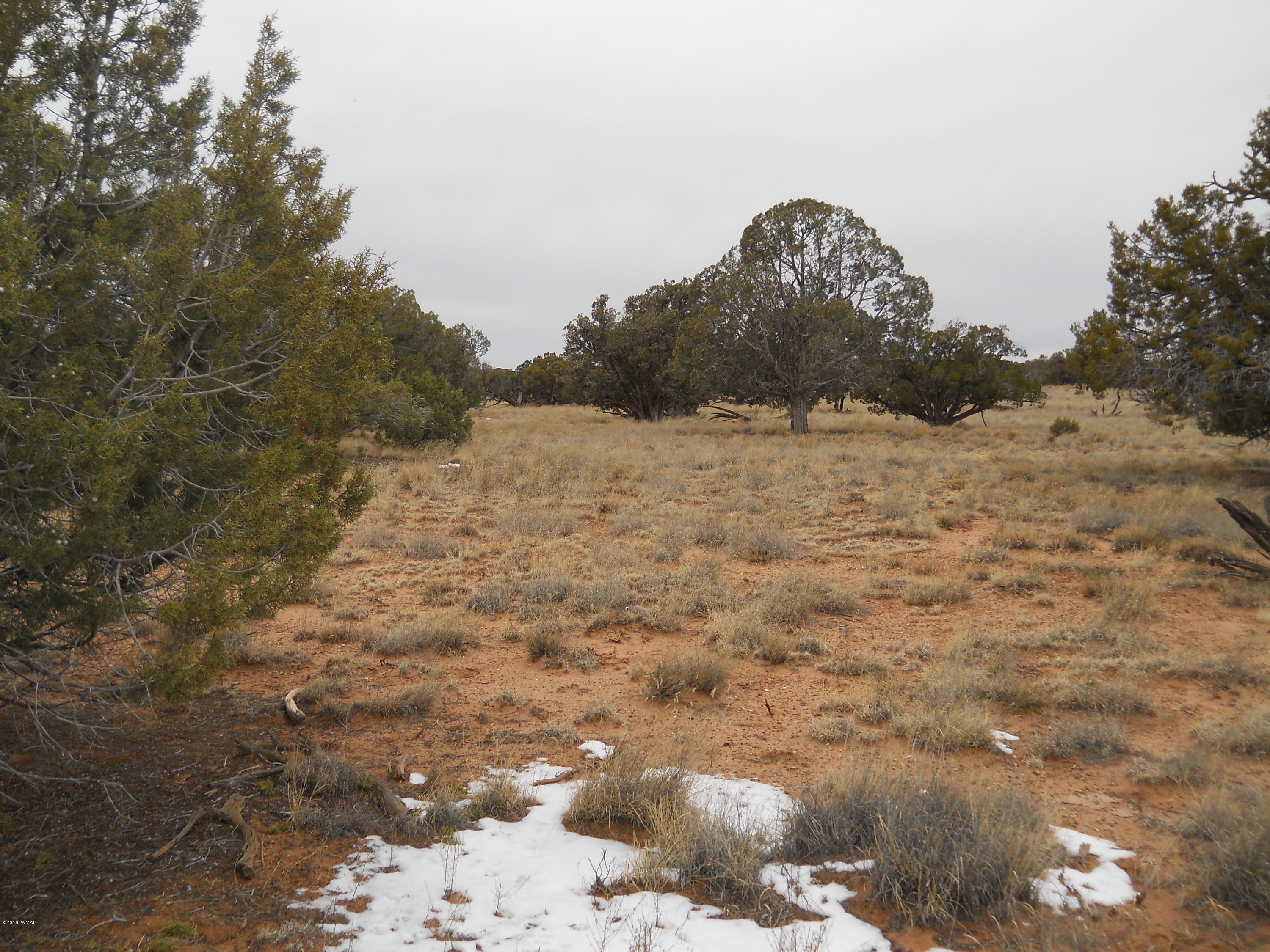 Sw Corner Sw Corner Concho, AZ 85924 - Photo 8 of 10