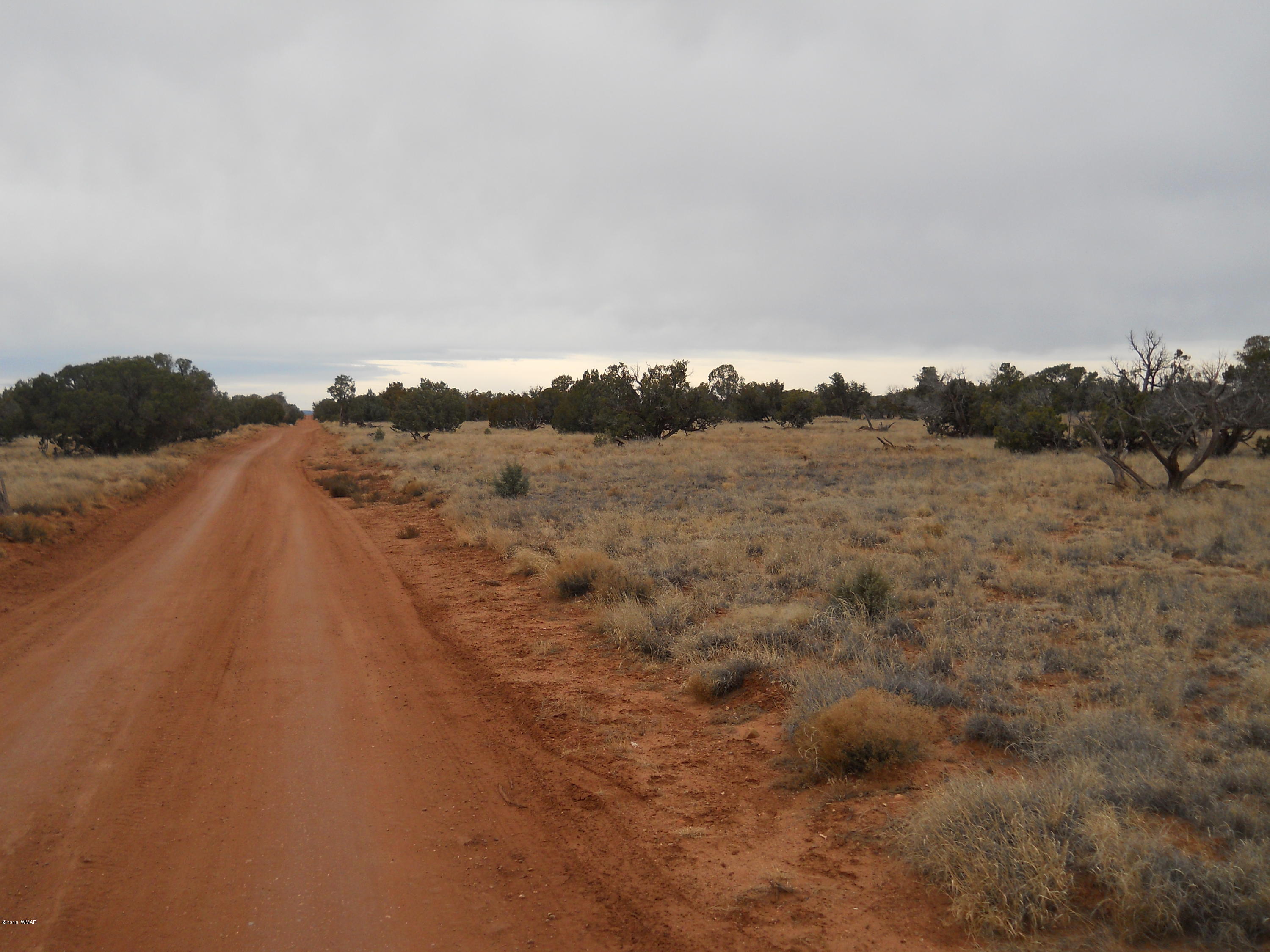 Sw Corner Sw Corner Concho, AZ 85924 - Photo 10 of 10