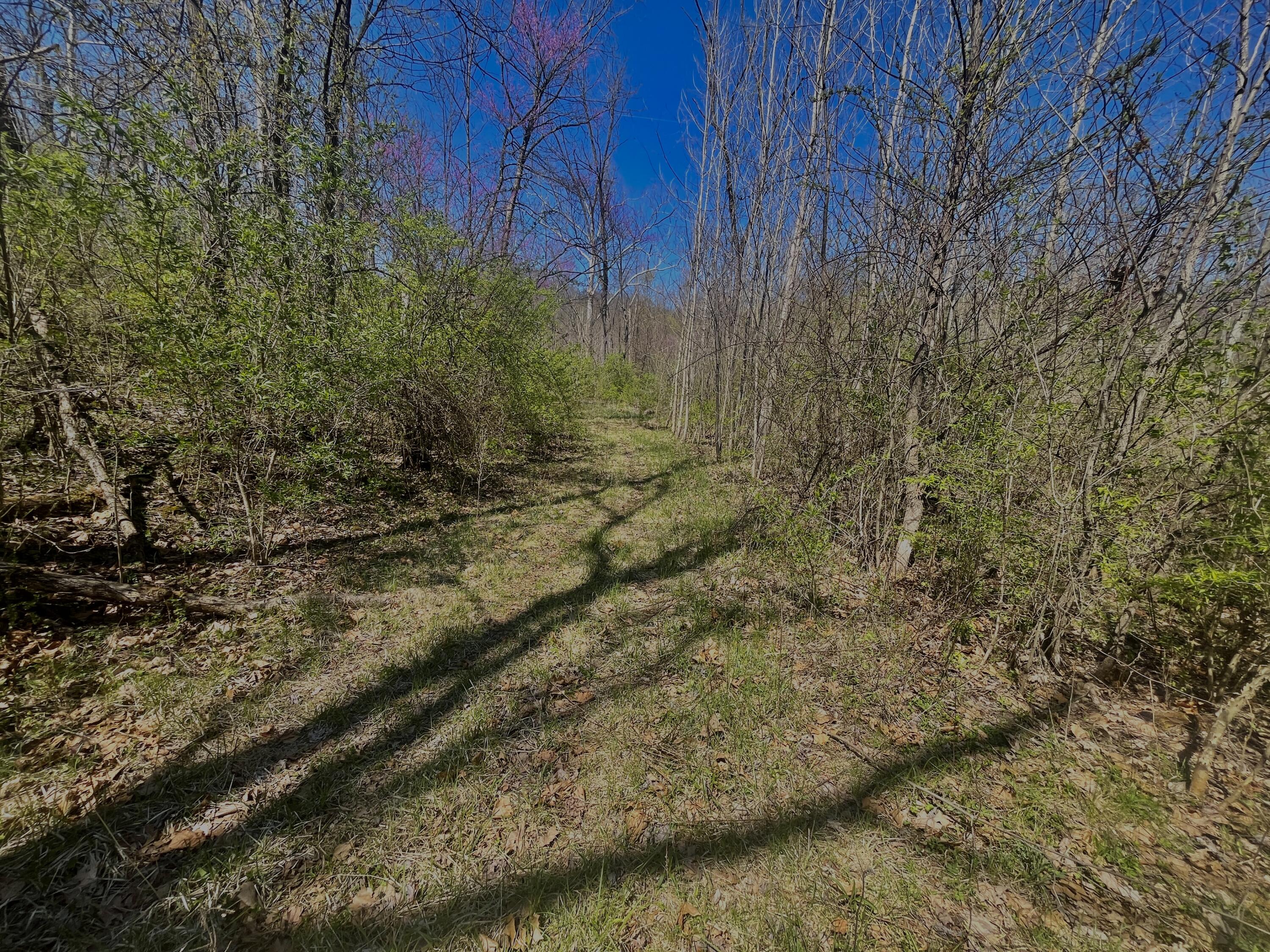 121 State New Paris, OH 45347 - Photo 27 of 60
