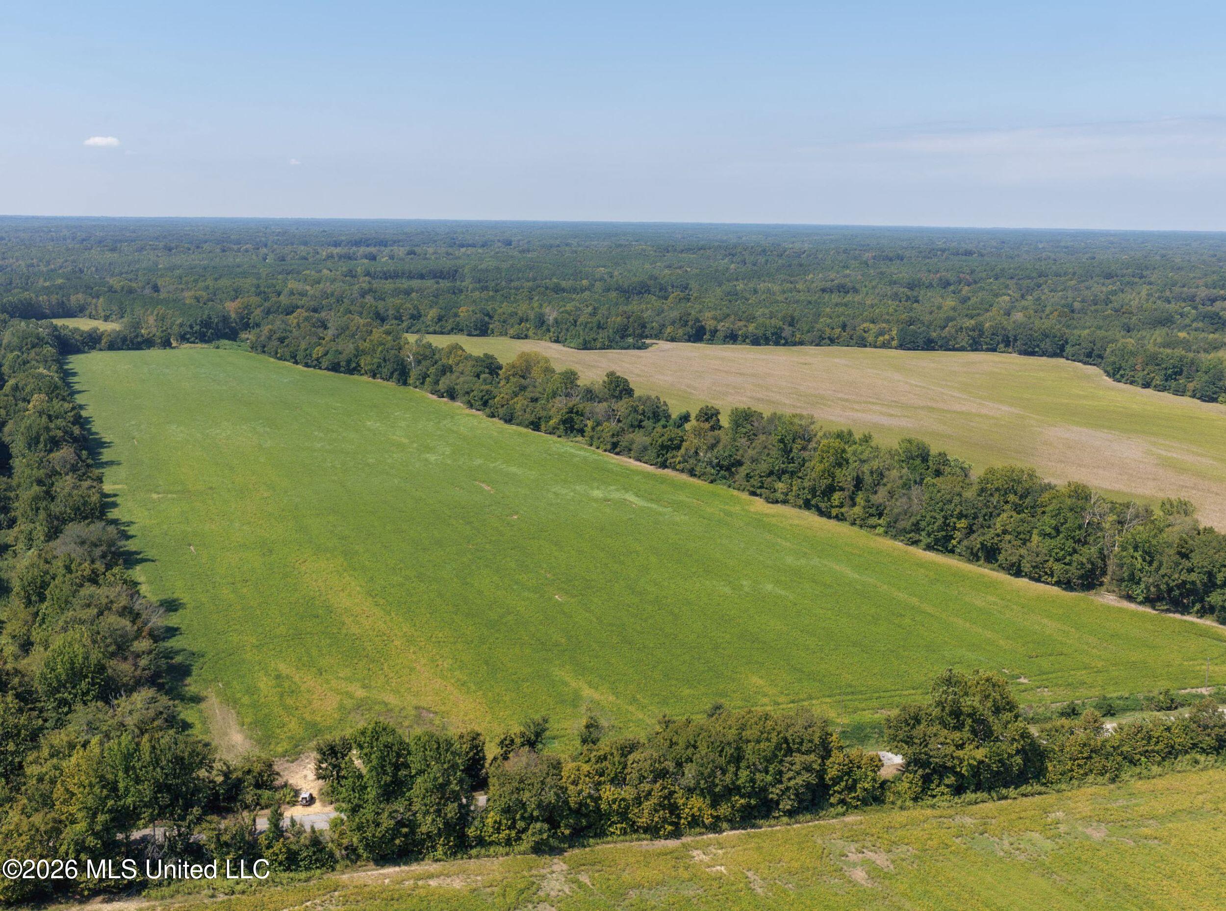 48-ac Old Panola Road Sardis, MS 38666 - Photo 18 of 30 7trtrwest3