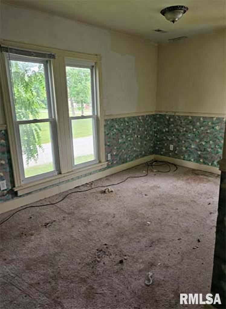 113 South Franklin St Camp Point Camp Point, IL 62320 - Photo 14 of 22 Gallery Image 14